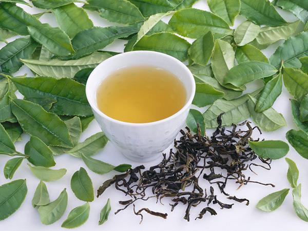 普洱茶生茶和熟茶的功效区别有哪些？
