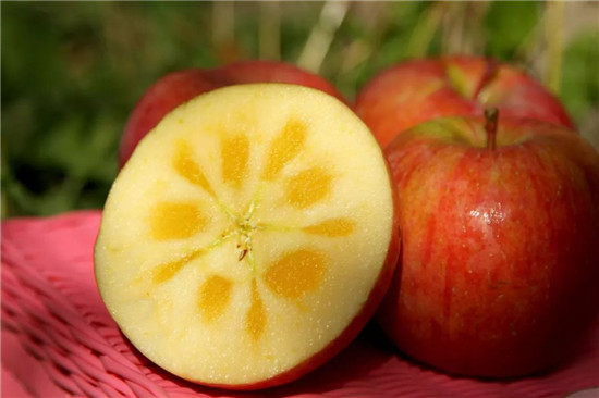糖心苹果减肥能吃吗 糖心苹果和普通苹果的区别