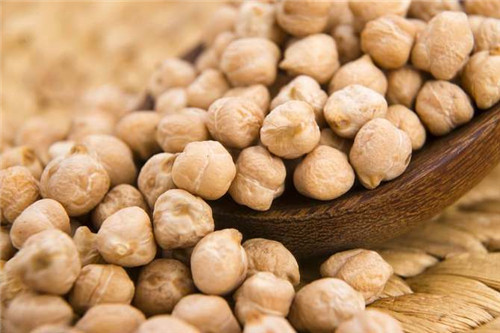 鹰嘴豆的功效作用及食用禁忌