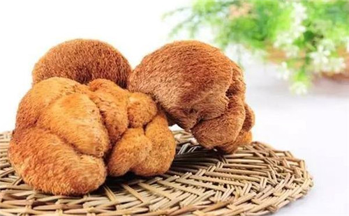 夏天猴头菇怎么吃 夏天吃猴头菇的好处有哪些