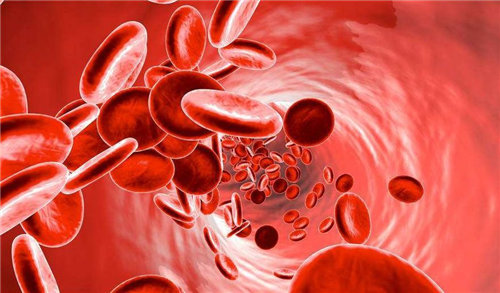 贫血吃什么可以补血 阿胶的补血效果好吗