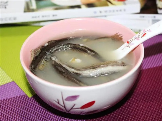 鸽子泥鳅汤的做法和功效